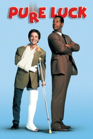 Невдахи постер