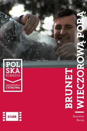 Брюнет вечірньою порою постер