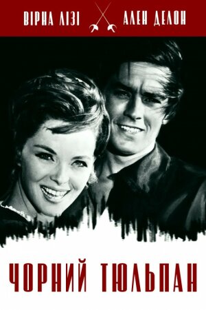 Чорний тюльпан постер