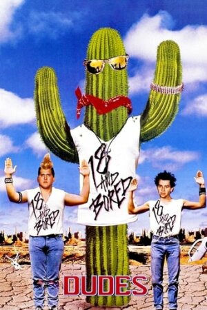 Чуваки постер