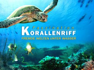 Постер до фільму Кораловий риф: дивовижні підводні світи