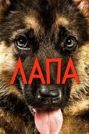 Лапа постер