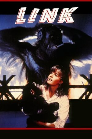 Лінк постер