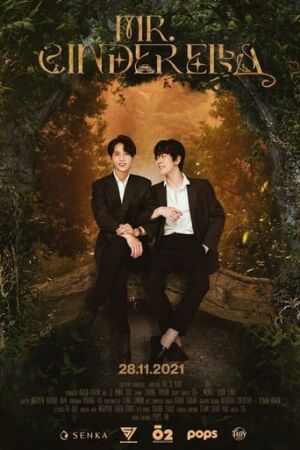 Містер Попелюшка постер