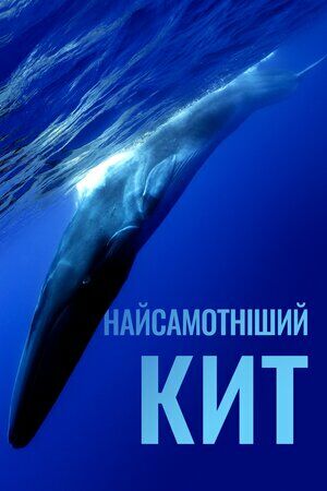 Постер до фільму Найсамотніший кит