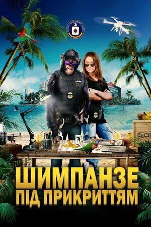 Шимпанзе під прикриттям постер