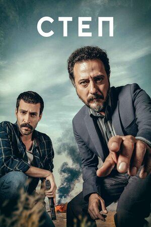 Степ постер