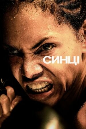 Синці постер