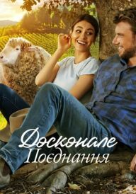 Досконале поєднання постер