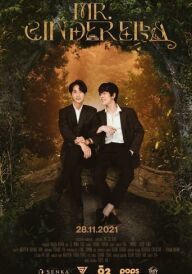 Містер Попелюшка постер