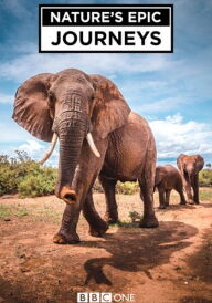 Найбільші в світі міграції / Найбільші міграції в природі постер