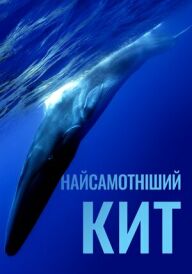 Постер Найсамотніший кит