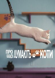 Про що думають коти постер