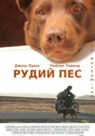 Рудий пес постер