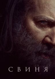 Свиня постер