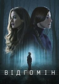 Відгомін постер