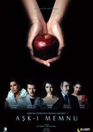 Заборонене кохання постер