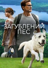 Загублений пес постер
