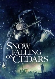 Засніжені кедри постер