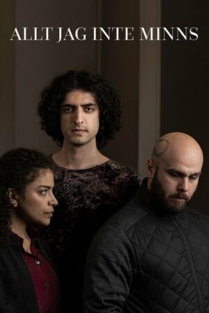 Усе, що я не пам'ятаю постер