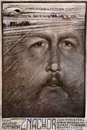 Знахар постер