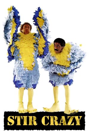 Психи в тюрязі / Мозок шкереберть / Родео за ґратами постер