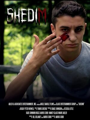 Шедим постер