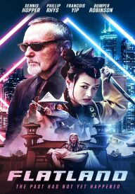 Флетландія постер