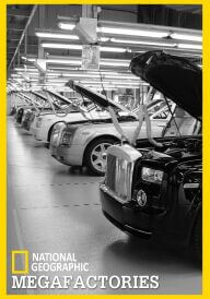 МегаЗаводи постер