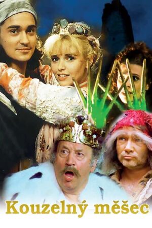 Чарівний гаманець постер