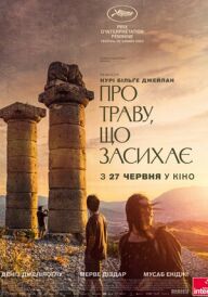 Про траву, що засихає постер