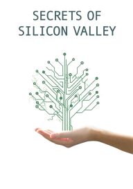 Таємниці Кремнієвої долини постер