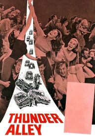 Громовий провулок постер