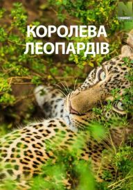 Королева леопардів постер