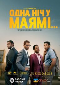 Одна ніч у Маямі... постер