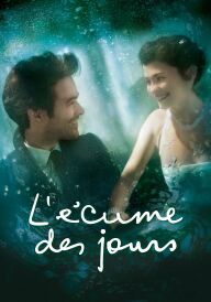 Піна днів постер