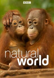 Світ природи постер