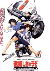 Вас заарештовано! постер