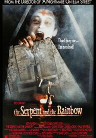 Змія і райдуга постер