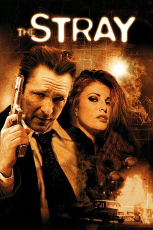 Бродяга постер