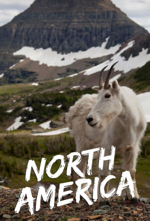 Дика Північна Америка постер