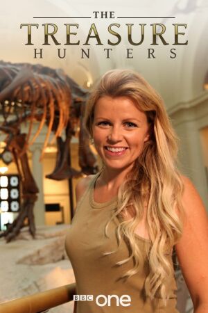 Мисливці за скарбами постер