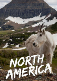 Дика Північна Америка постер