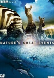 Дива природи / Бі-Бі-Сі Найвеличніші події живої природи постер