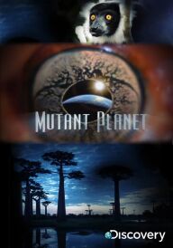 Сила життя постер