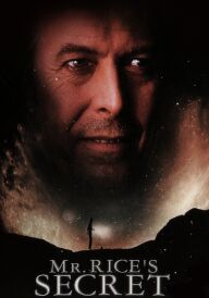 Таємниця містера Райза постер