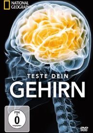 Як працює наш мозок постер