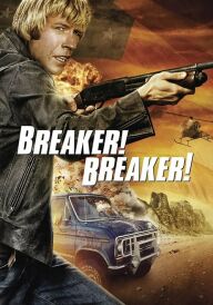 Зломщик! Зломщик! постер