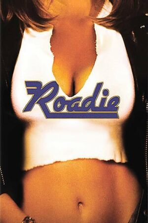 Майстер постер