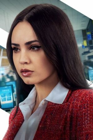 Ручна поклажа постер